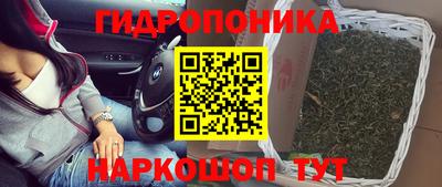 эйфоретик Заволжье