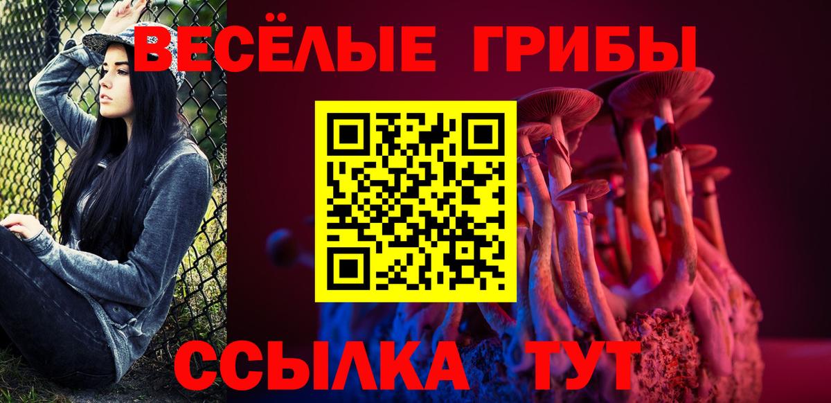 Галлюциногенные грибы MAGIC MUSHROOMS Моздок